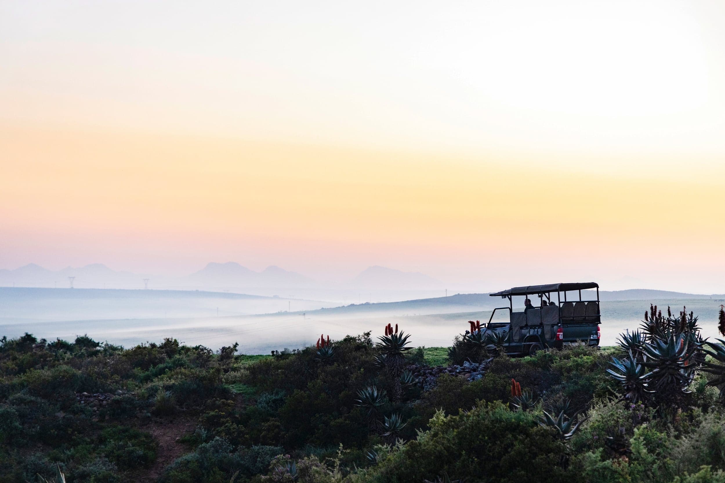 Guided Game Drives 7