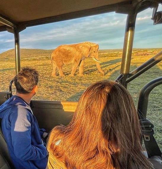 Guided Game Drives 6