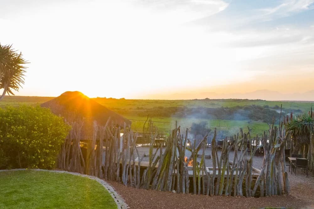 Boma Fire 2