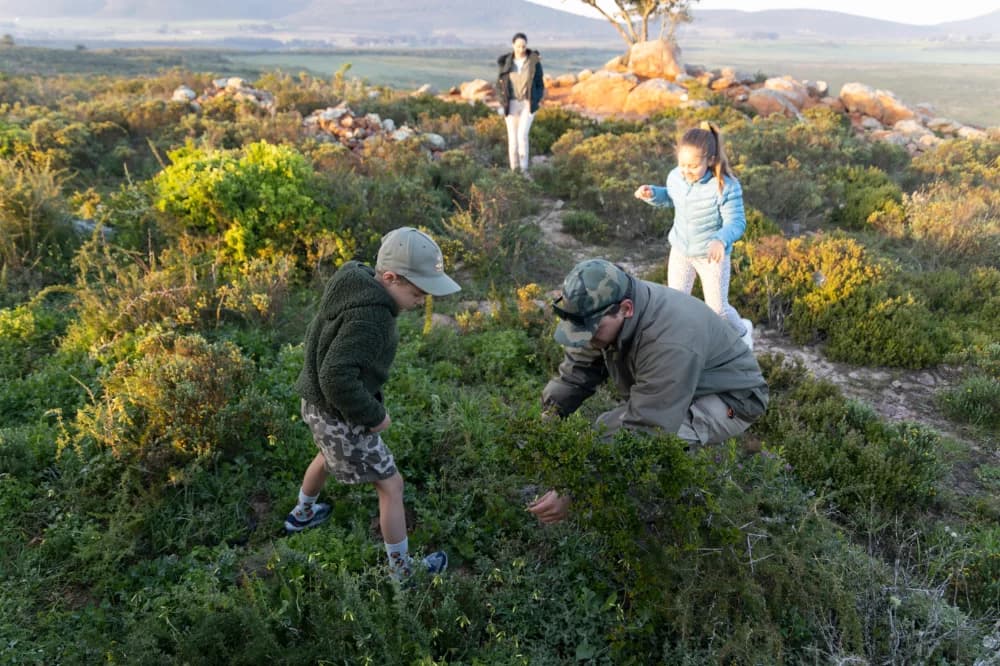 Junior Ranger Program 1