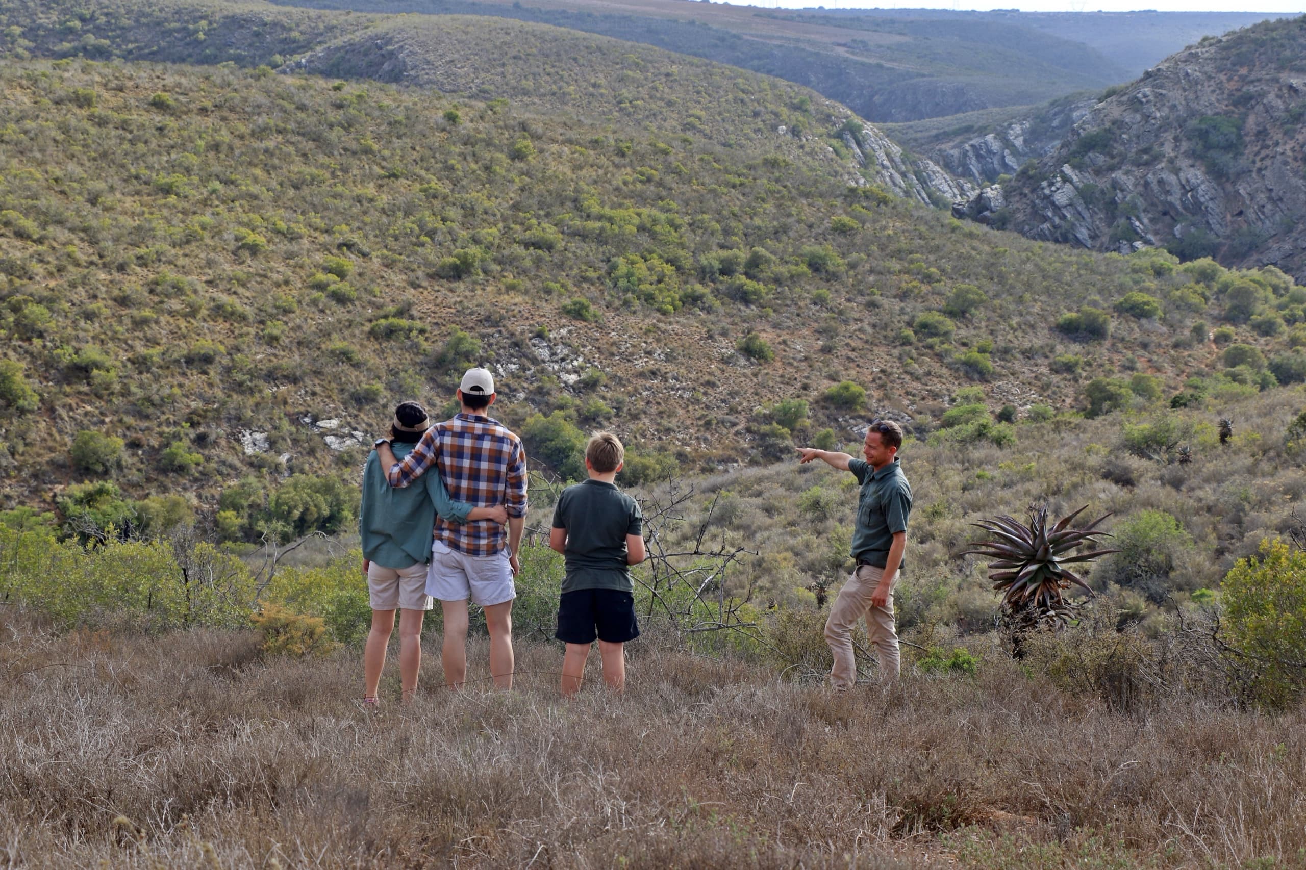 Bush Walks