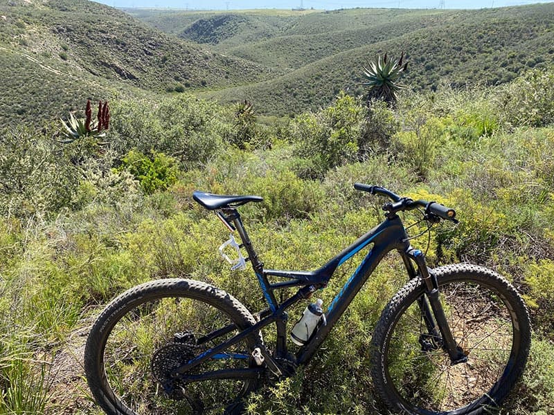 Mountain biking trails through the reserve