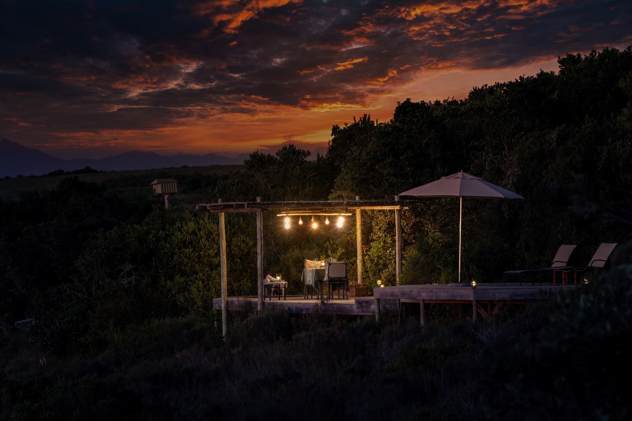 Private Bush Dinner
